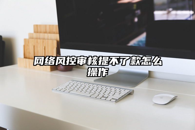 网络风控审核提不了款怎么操作