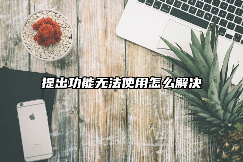 提出功能无法使用怎么解决