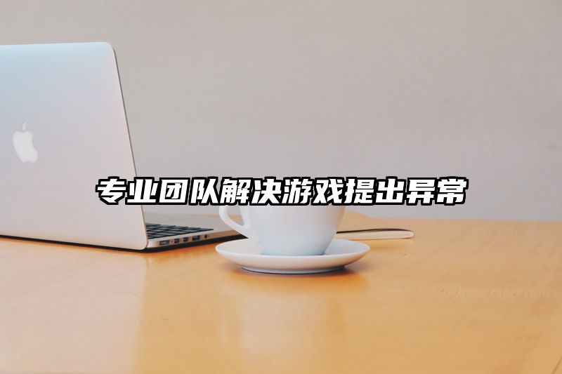 专业团队解决游戏提出异常