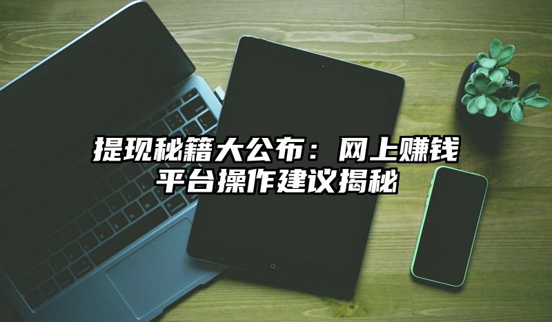 提现秘籍大公布：网上赚钱平台操作建议揭秘