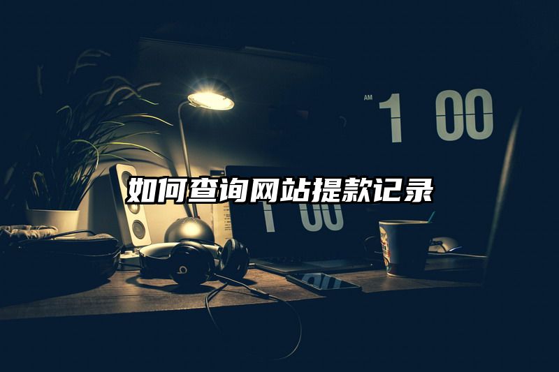 如何查询网站提款记录