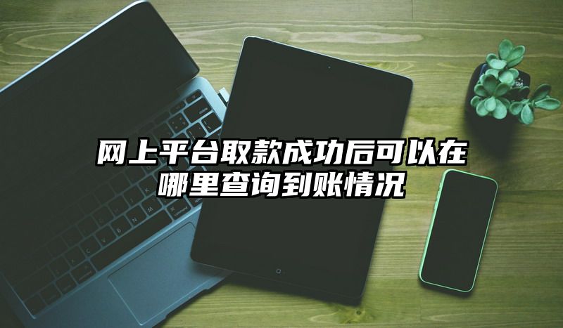 网上平台取款成功后可以在哪里查询到账情况