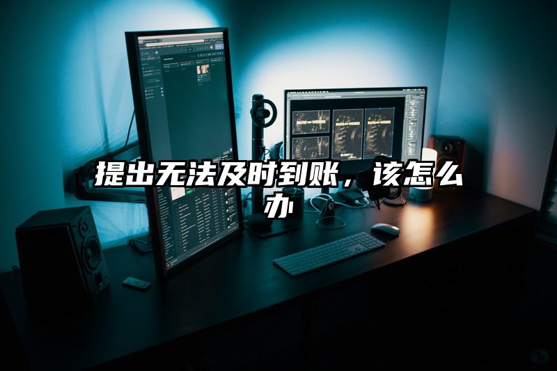 提出无法及时到账，该怎么办