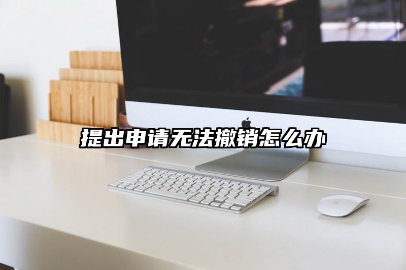 提出申请无法撤销怎么办